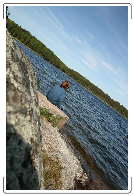 Neste bilde