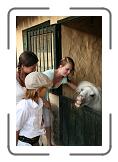 IMG_2061 * 2592 x 3888 * (3.96MB)