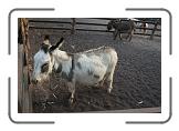 IMG_2063 * 3888 x 2592 * (5.2MB)