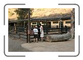 IMG_2065 * 3888 x 2592 * (4.66MB)