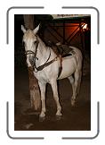 IMG_2087 * 2592 x 3888 * (3.96MB)