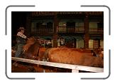 IMG_2120 * 3888 x 2592 * (4.4MB)