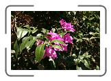 IMG_2188 * 3888 x 2592 * (4.2MB)