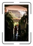 IMG_2191 * 2592 x 3888 * (4.51MB)
