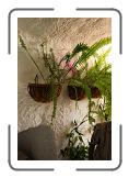 IMG_2192 * 2592 x 3888 * (4.45MB)