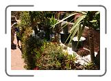 IMG_2203 * 3888 x 2592 * (5.92MB)