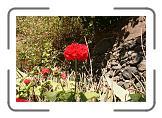 IMG_2209 * 3888 x 2592 * (5.72MB)