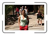 IMG_2219 * 3888 x 2592 * (4.95MB)