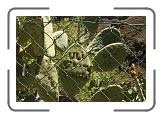 IMG_2227 * 3888 x 2592 * (4.47MB)
