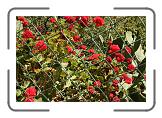 IMG_2230 * 3888 x 2592 * (5.34MB)