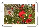 IMG_2231 * 3888 x 2592 * (4.02MB)