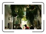 IMG_2235 * 3888 x 2592 * (4.63MB)