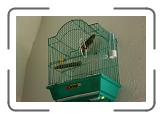 IMG_2236 * 3888 x 2592 * (4.23MB)
