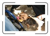 IMG_2239 * 3888 x 2592 * (3.91MB)