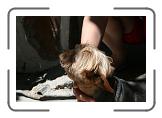 IMG_2242 * 3888 x 2592 * (3.15MB)
