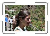 IMG_2252 * 3888 x 2592 * (3.99MB)