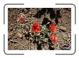 IMG_2257 * 3888 x 2592 * (4.55MB)
