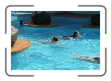 IMG_2373 * 3888 x 2592 * (5.13MB)