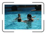IMG_2384 * 3888 x 2592 * (5.16MB)
