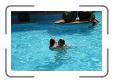IMG_2404 * 3888 x 2592 * (4.97MB)