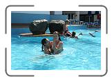 IMG_2407 * 3888 x 2592 * (4.74MB)