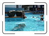 IMG_2409 * 3888 x 2592 * (4.75MB)