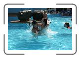 IMG_2410 * 3888 x 2592 * (4.89MB)