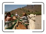 IMG_2490 * 3888 x 2592 * (3.66MB)