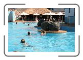IMG_2566 * 3888 x 2592 * (5.23MB)
