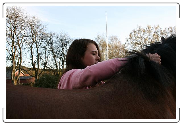 Neste bilde